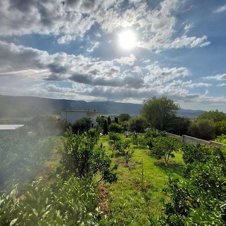 Guest House Xhaferaj Berat Exterior foto