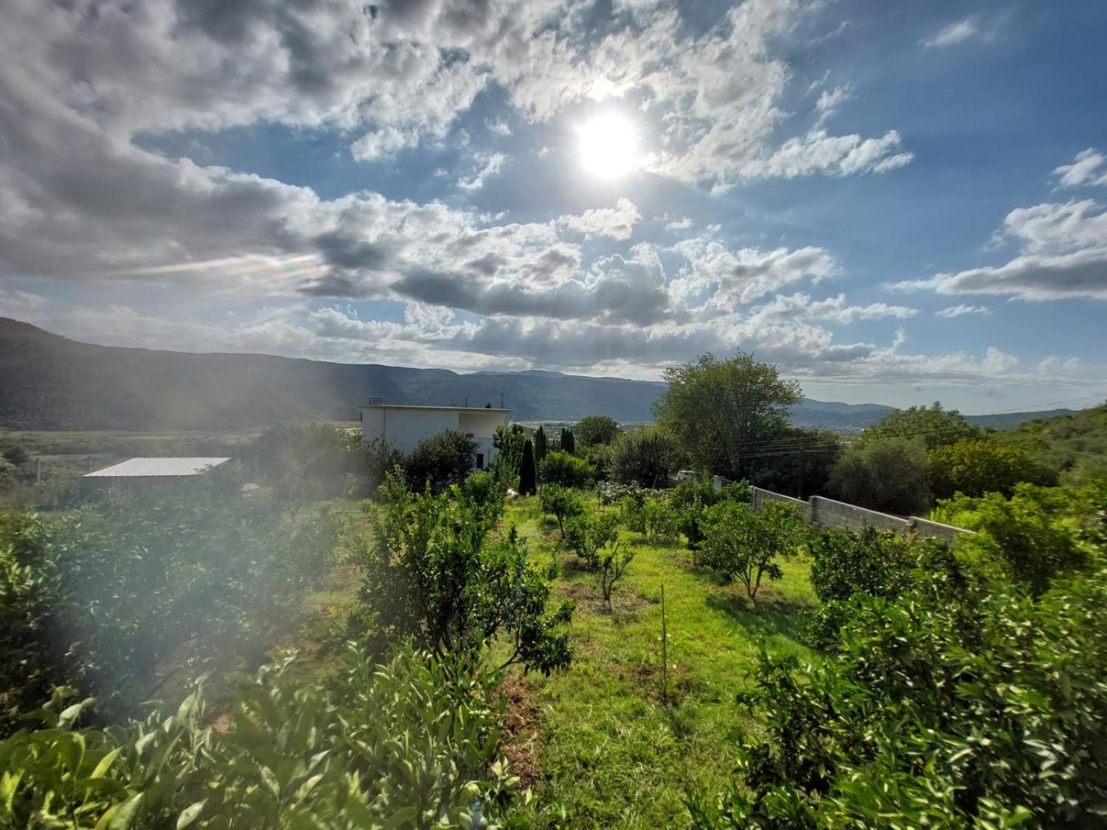 Guest House Xhaferaj Berat Exterior foto